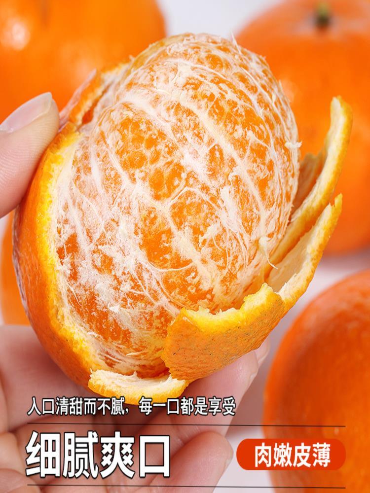 广西武鸣沃柑 9斤 单果65mm+ 生鲜桔子水果