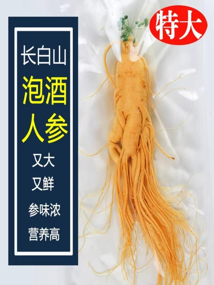 长白山鲜人参 12支 泡酒专用 东北特产  晒干人叁白参