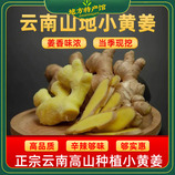 共同