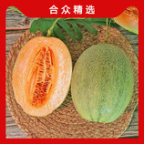 图片色