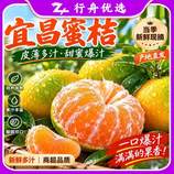 共同