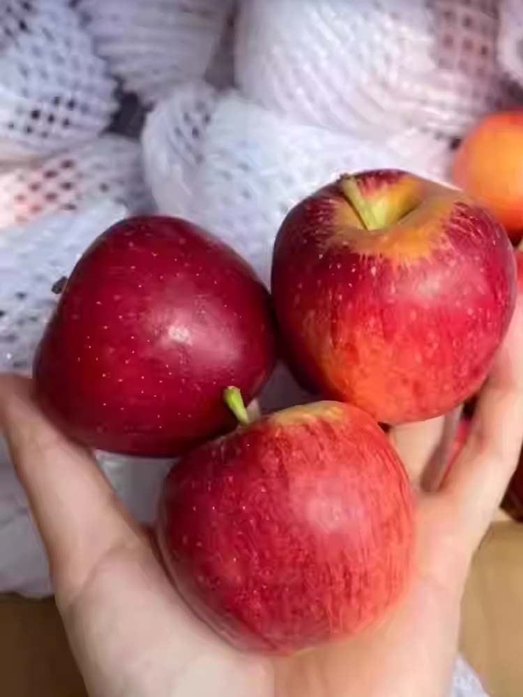 云南樱桃小苹果【60mm+】·净重9斤