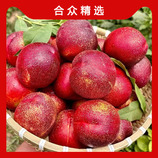图片色