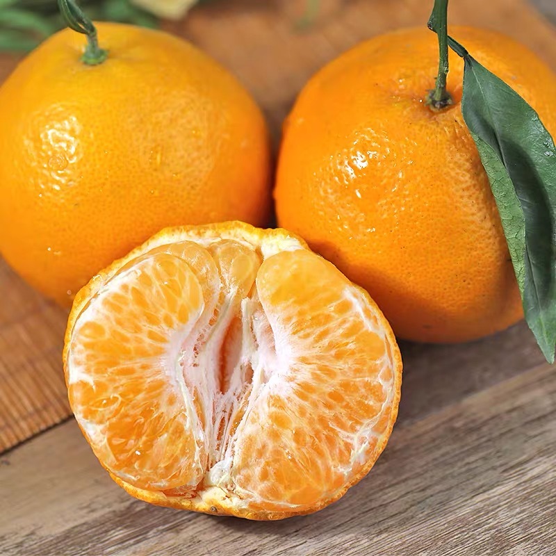 果哥推荐四川现摘新鲜粑粑柑8斤