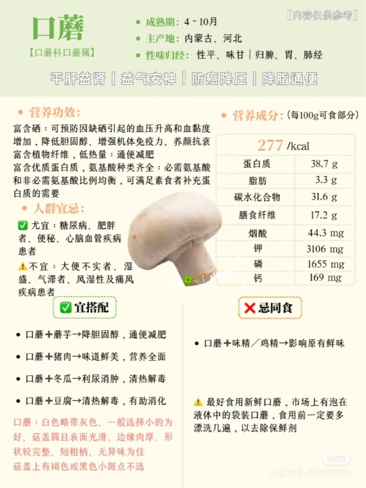 梦幻草原草原白蘑酱原味香辣4罐组
