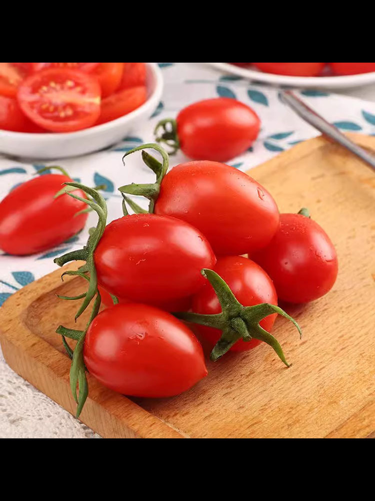 山东新鲜千禧圣女果小番茄4.8斤±100g