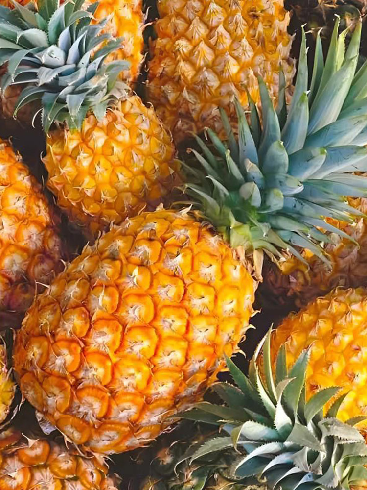 海南香水凤梨大果·净重7.5-8斤