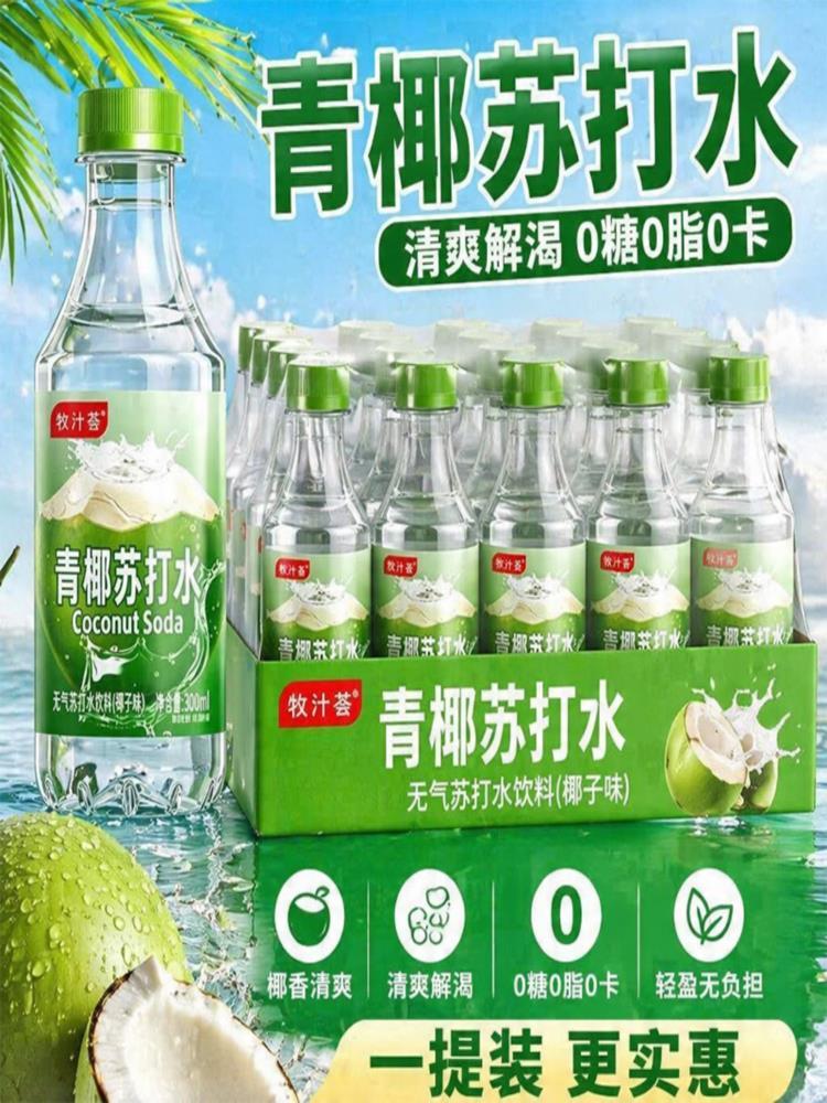 青椰苏打水 300ml*24瓶 清爽解腻整箱 居家常备 解渴