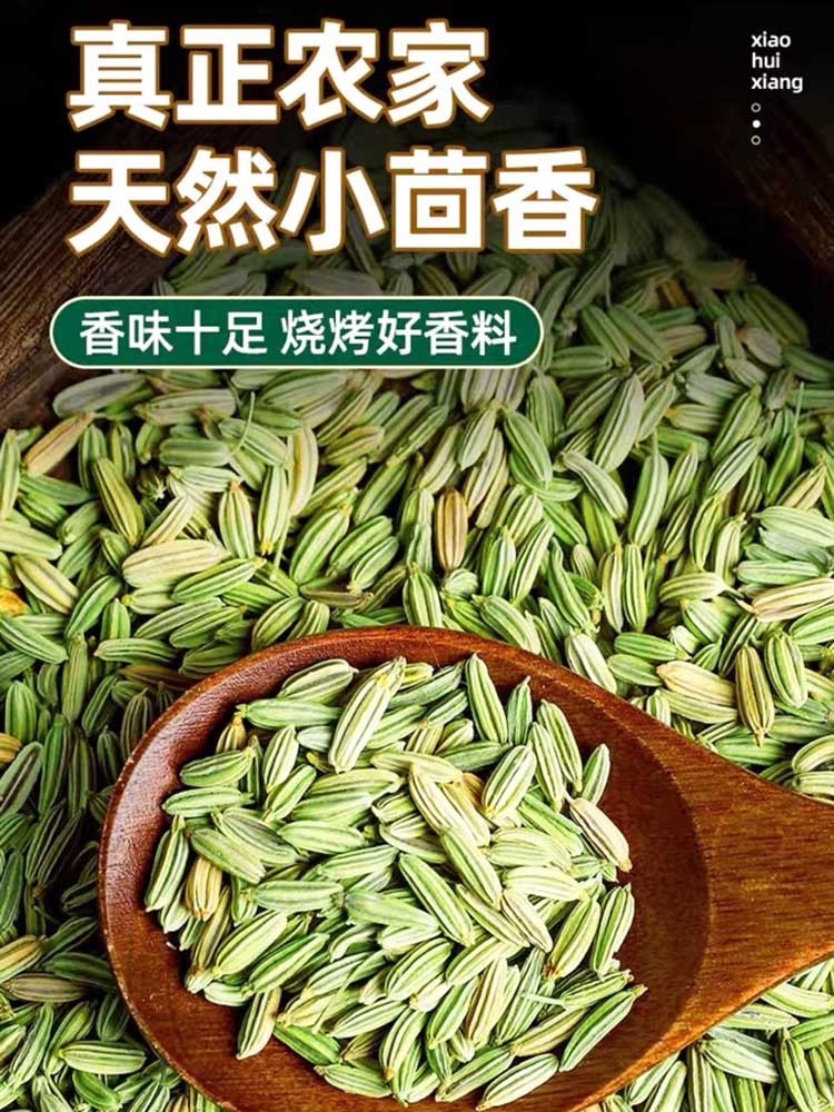 【初级农产品】甘肃小茴香500g*1袋(工厂直发）