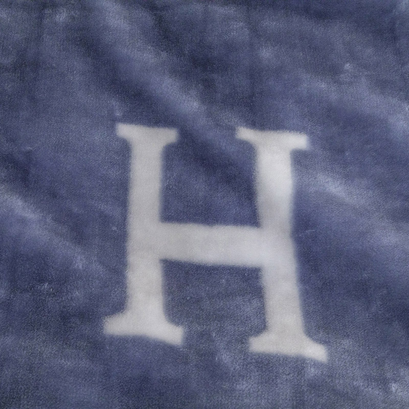 拉舍尔毛毯加厚秋冬保暖珊瑚法兰绒小被子200*230cm 7斤·轻奢H-蓝