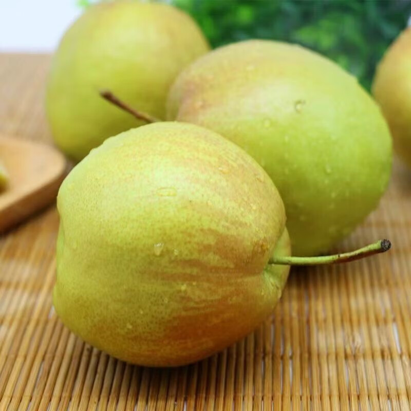 【河北特产】玉露香梨 当季时令 新鲜水果 约5斤