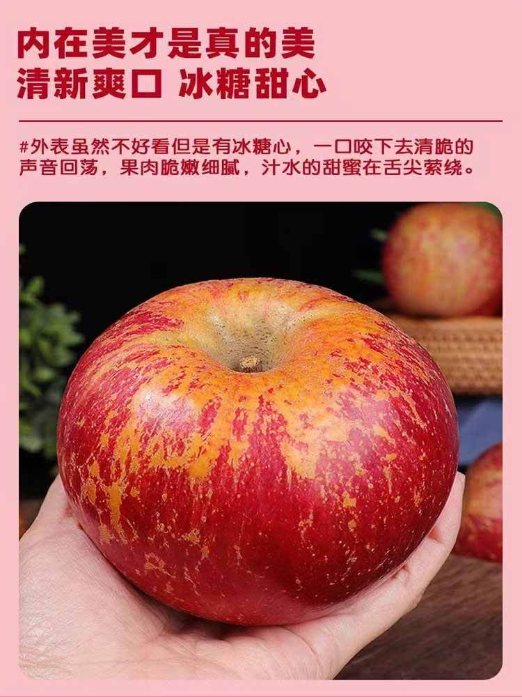 【到手4.5斤以上】大凉山盐源丑苹果 大果（80-85mm）彩箱