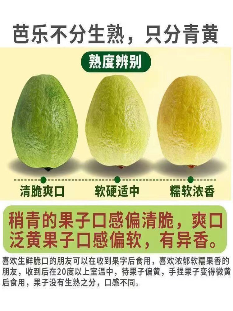 新鲜红心芭乐软糯香甜低糖水果5斤（4.5-5）