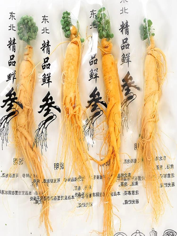 长白山鲜人参 12支 泡酒专用 东北特产  晒干人叁白参