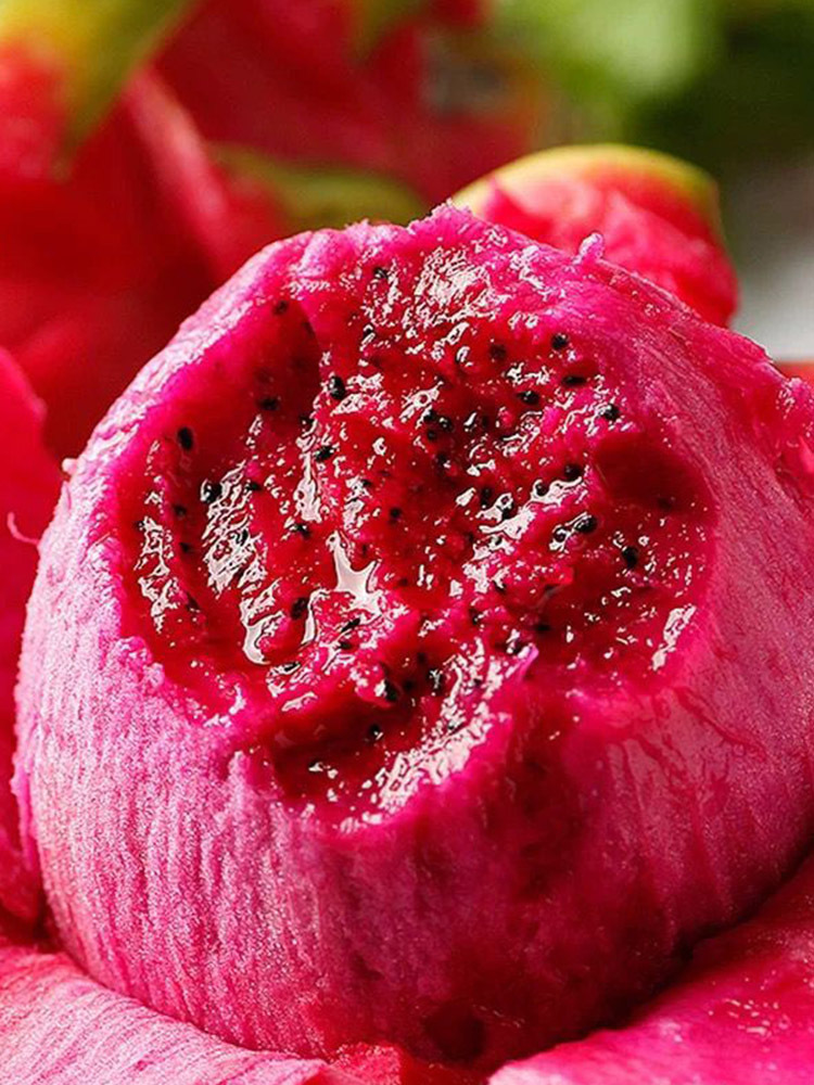 广西红心火龙果【单果6-8两】·净重5斤