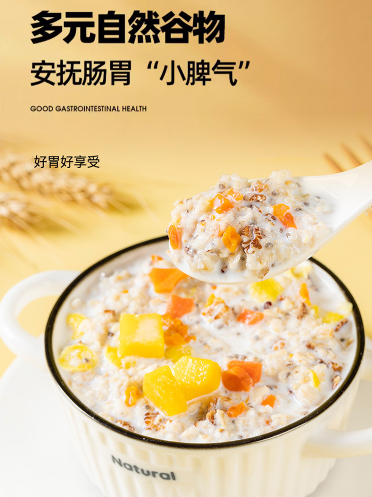新势力 奇亚籽南瓜小米燕麦片 1000g*1罐