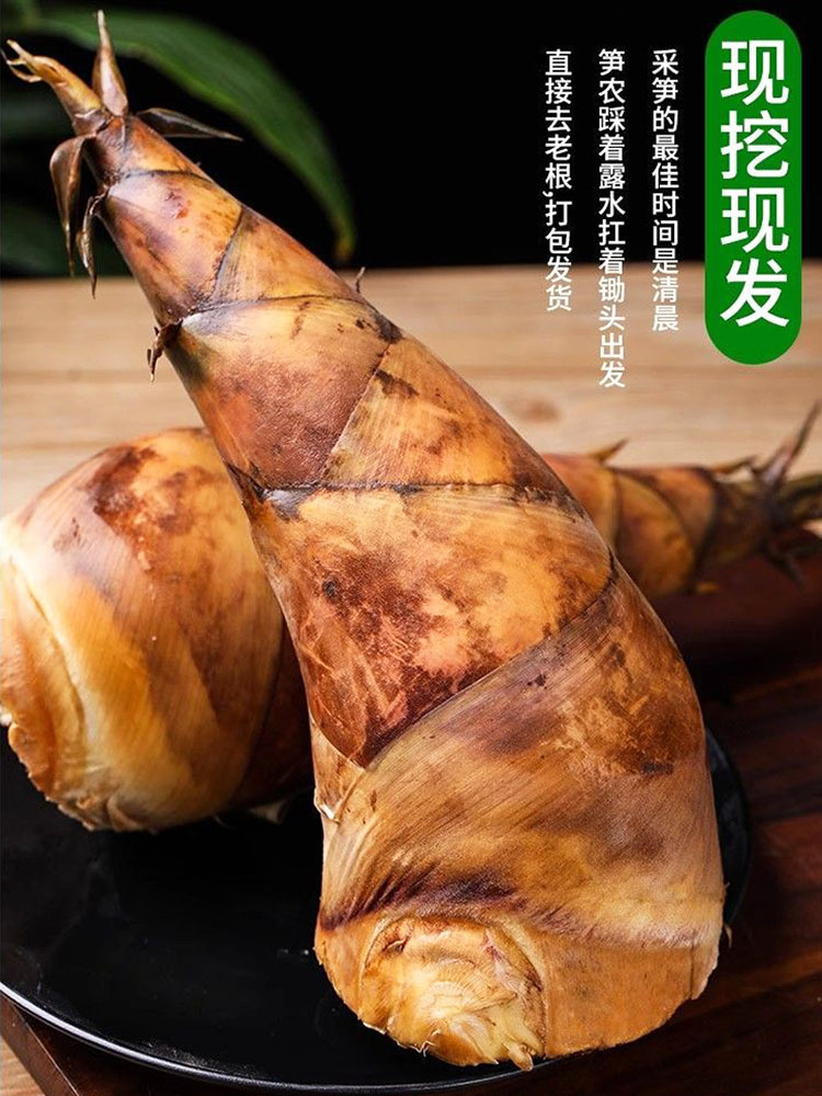 云南普洱甜笋3颗装（约3斤）顺丰快递