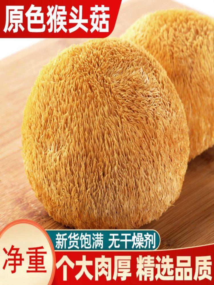 猴头菇 500g 干货新鲜煲汤鲜美食用