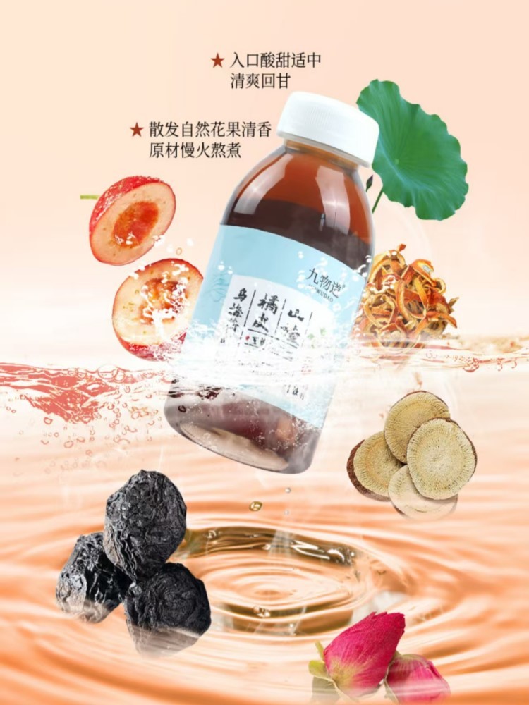 乌梅荷叶饮饮料20瓶*245ml