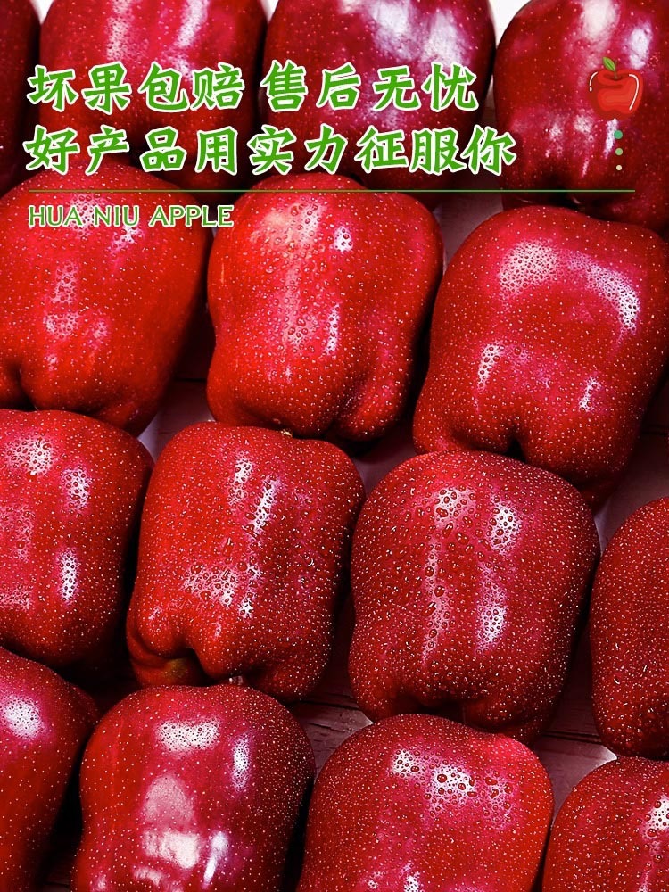 甘肃天水花牛苹果9斤大果 【净重8.5-9斤】
