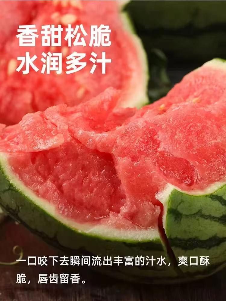 早春红玉小西瓜5-6斤（2-3个）