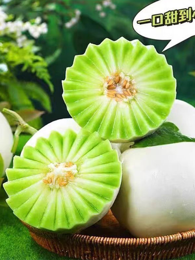 海南玉菇甜瓜·3斤【净重2.5-3斤】