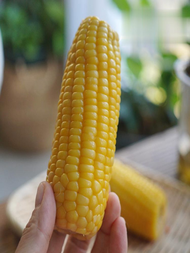 东北黄糯玉米 20棒 玉米 分2个快递 (140g-180g)/棒