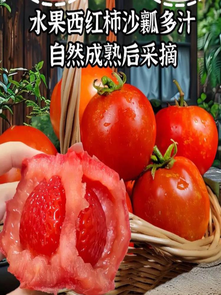 【陕西泾阳】普罗旺斯西红柿番茄 净重4.5斤（12-16枚）中果