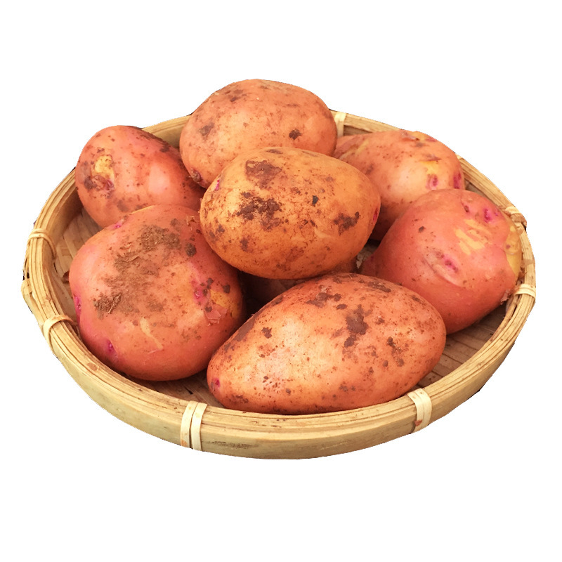 【9斤净重中果】云南红皮粉糯小土豆·单果约100g