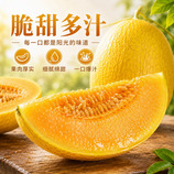 共同