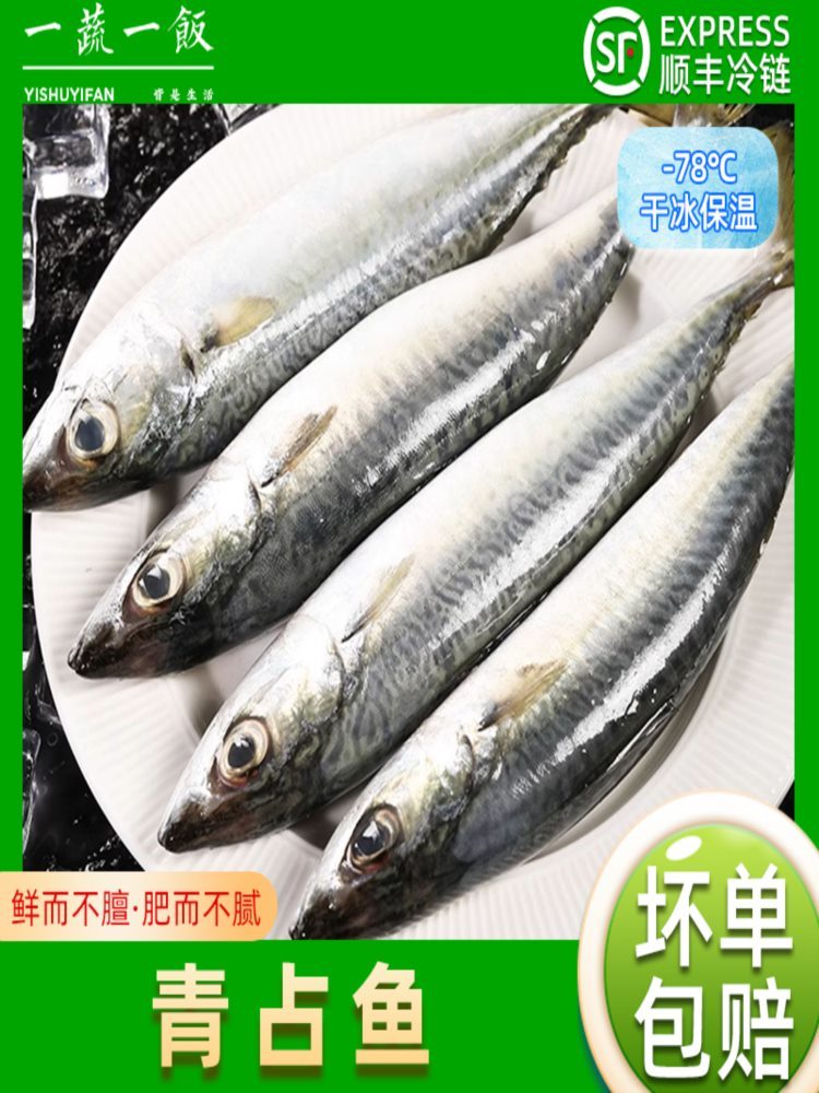 【顺丰速运】无冰大号青占鱼 4斤 鲐鲅鱼 青鱼新鲜冷冻 青花鱼 鲅鱼马