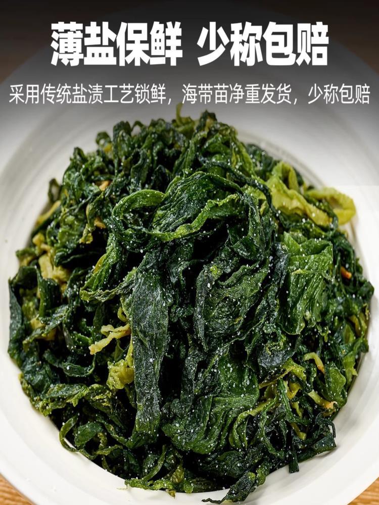 海带苗 500g*5包（小苗） 霞浦特产级新鲜嫩苗火锅食材