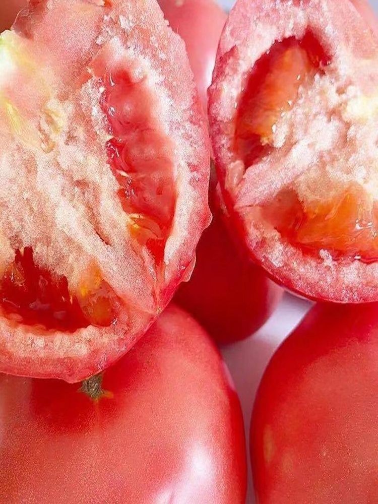 普罗旺斯西红柿5斤大果【约10-12个】