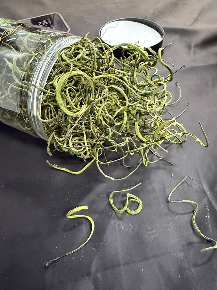 【到手3罐】东北长白山黄金草50g/罐