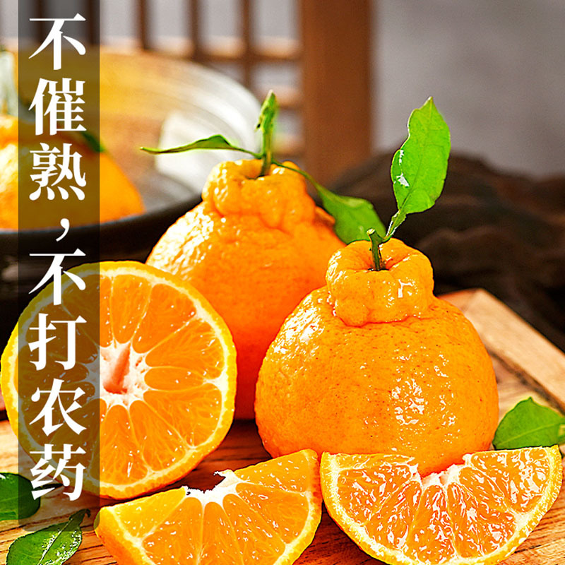 四川不知火丑橘 【现货】5斤【单果80mm以上】