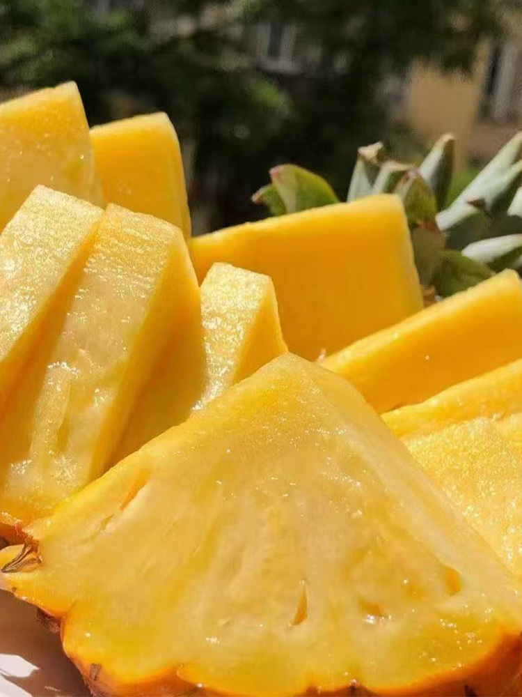 香水菠萝【单果500-1000g】·带箱9斤装