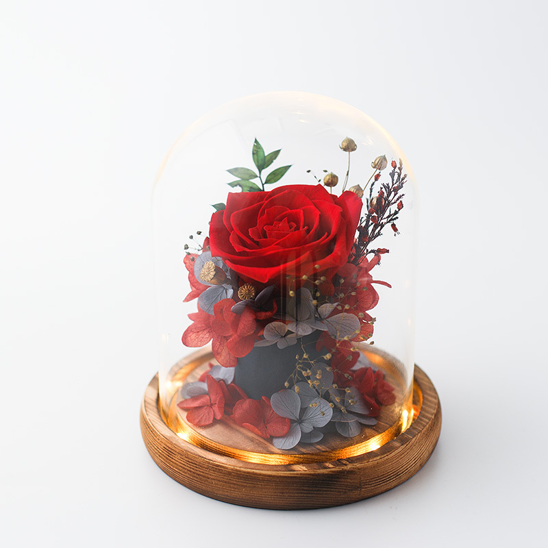 蔷薇花开 精致进口永生花礼品·玻璃罩-红色