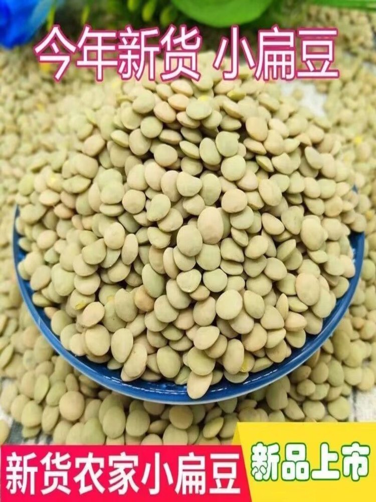 小扁豆 5斤 可发芽 五谷杂粮 天水特产