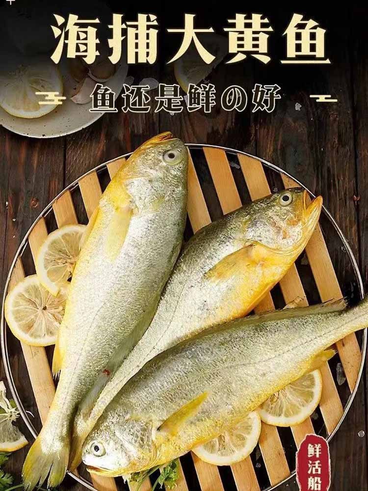 【吴老板严选】蒙子·鲜冻黄鱼·8条