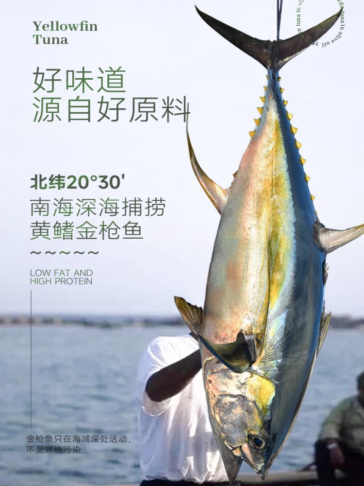 鱼家香橄榄油浸黄鳍金枪鱼罐头160g*6罐