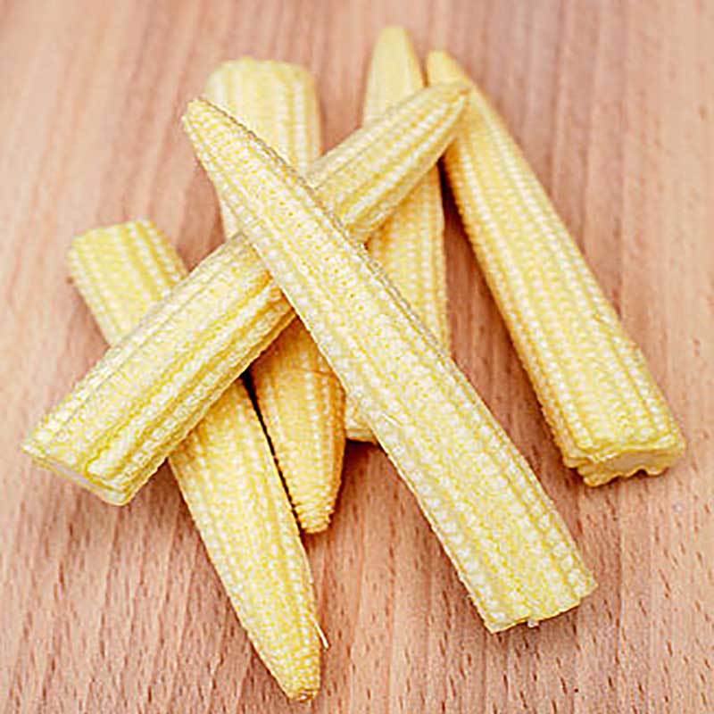 广西珍珠玉米笋2.5kg所有评论