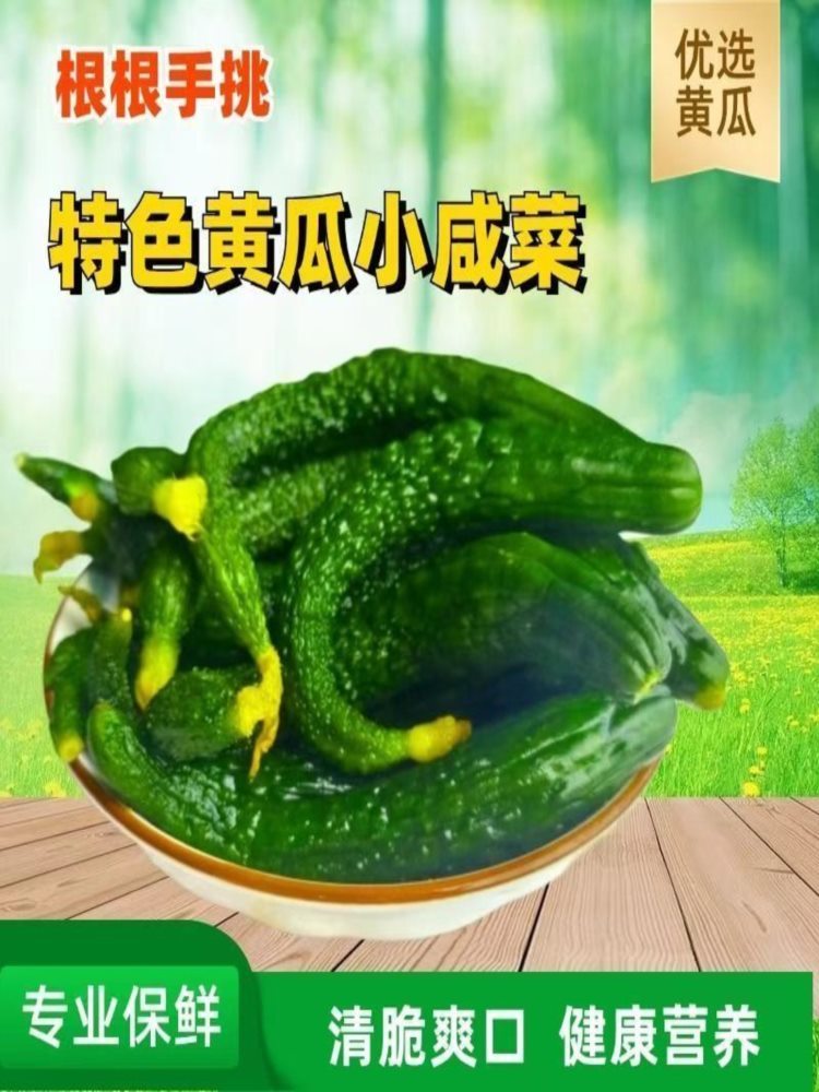 腌渍小黄瓜 500g*5袋 咸菜盐制脆瓜 脆黄瓜开胃解腻小菜下饭菜