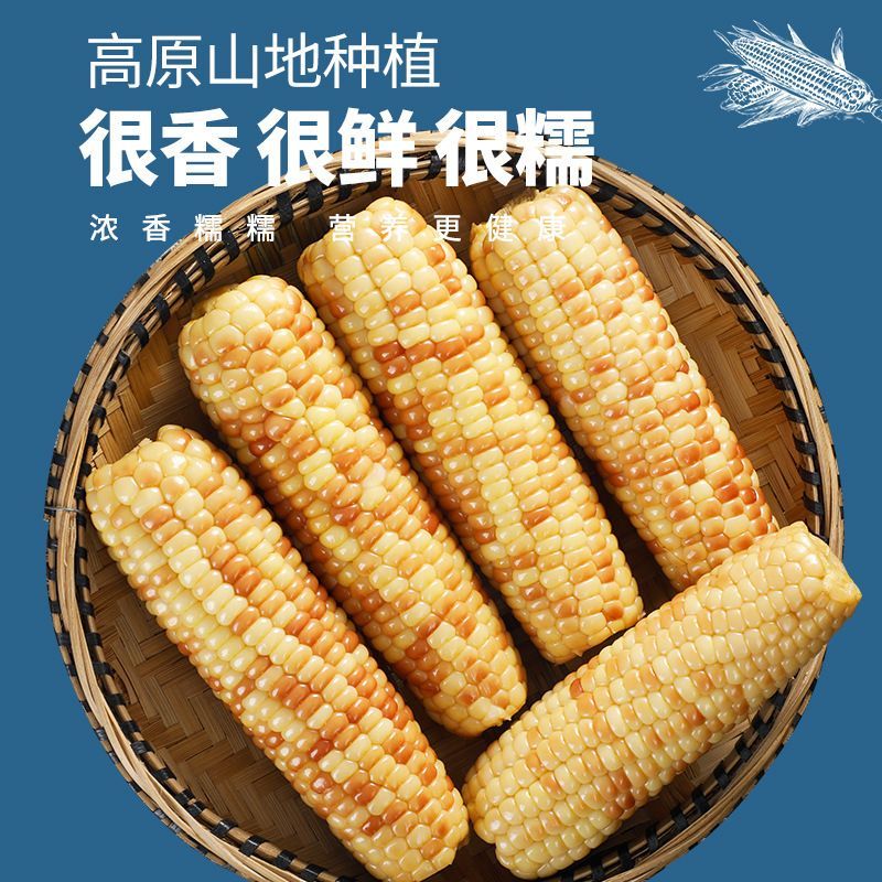 云南西双版纳特产新鲜即食花甜粘黏玉米棒3盒装·统一