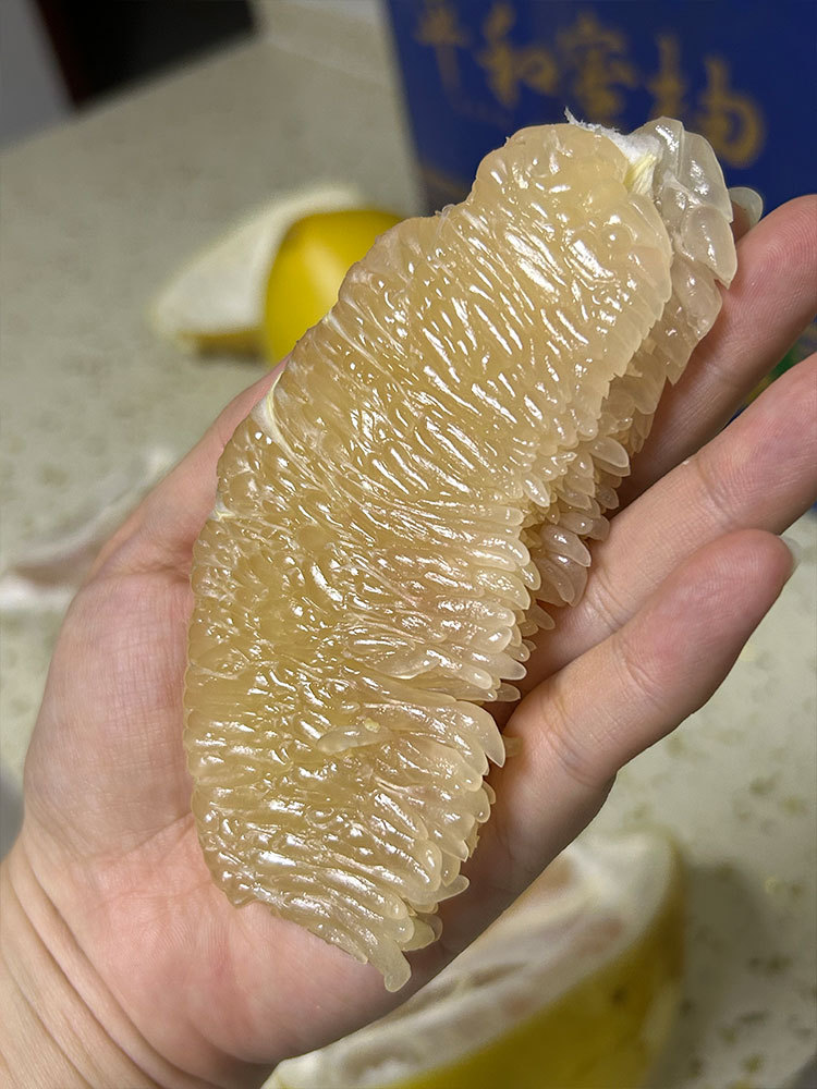 福利品*老树白金柚子8.5斤净重