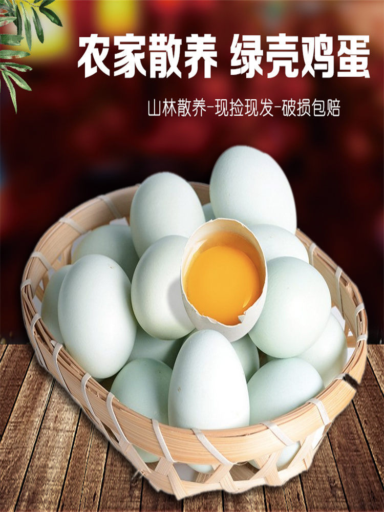 【乌鸡蛋40枚】新鲜绿壳蛋农家山林散养土鸡蛋绿皮鸡蛋