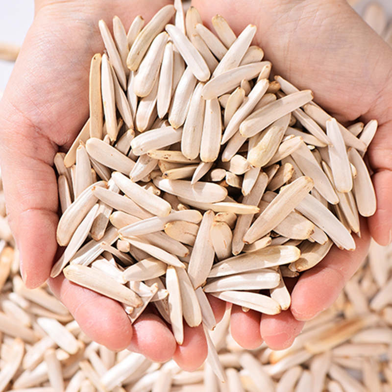 新疆马牙瓜子500g*2袋