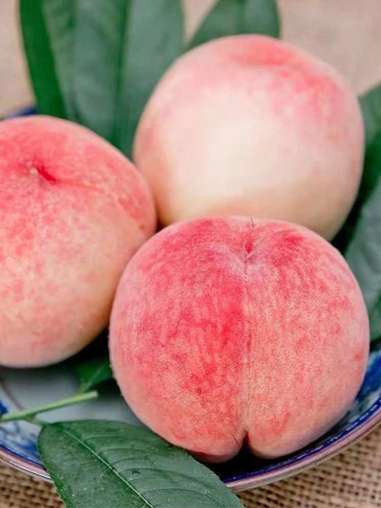 顺丰 春雪水蜜桃3斤大果【单果180g+】