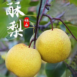 9斤大果