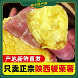 共同