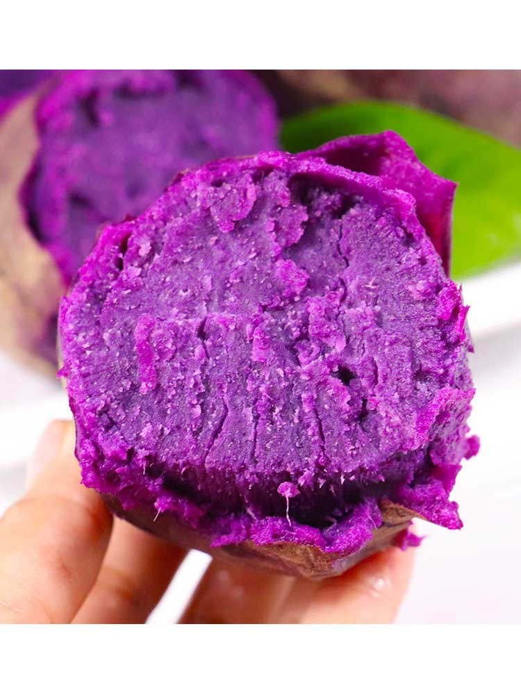 山东紫罗兰紫薯新鲜沙地紫薯9斤